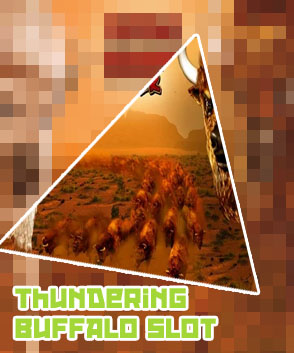 Thundering buffalo slot machine